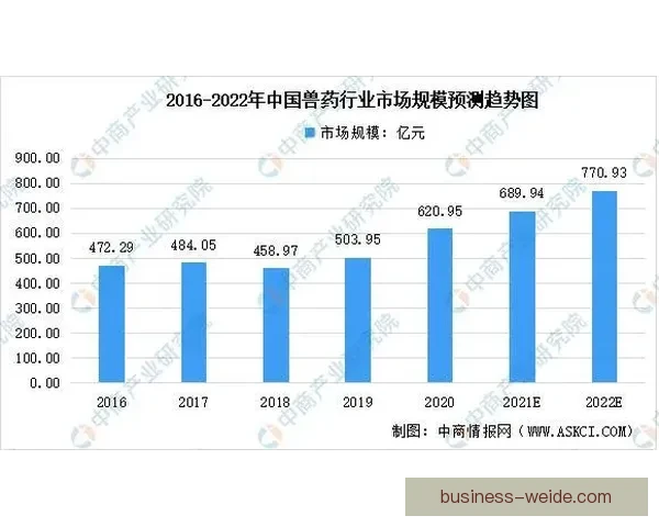 普鲁士多特蒙德股份有限公司发展战略与未来前景分析